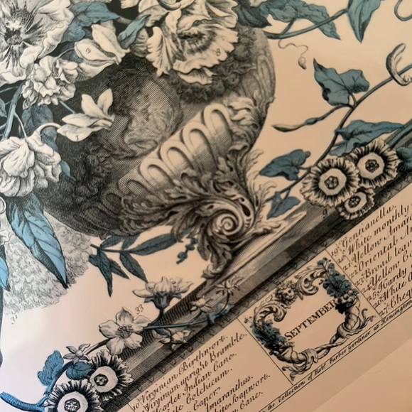 Vtg SEPTEMBER from Twelve Months of Flowers by Robert Furber (C.1674-1756)CANADA - Picture 7 of 15